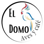 @eldomo_ayc